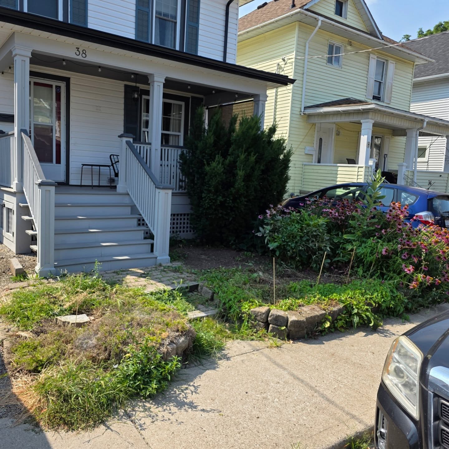 Front yard before: overgrown garden beds and weeds